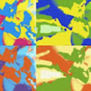 Meet your Posher, Audrey